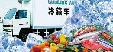 打通“最初一公里”——我國(guó)冷鏈物流如何為初級(jí)農(nóng)產(chǎn)品破冰前行